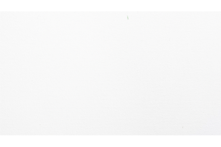 Applefest Logo Animation