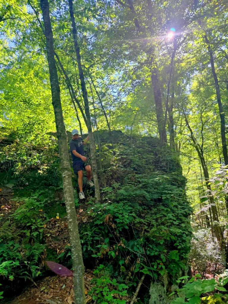 Levi in Woods